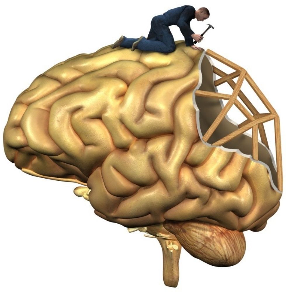 A human figure showing the spine and nervous system in red against a blue background